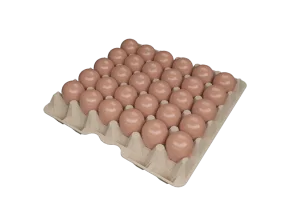 30-EGG TRAY